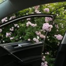 뚜비두밥