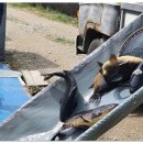 거일낚시터 이미지