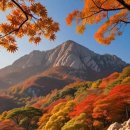 단풍 - 문경시 당교10길 17-3 | 단풍