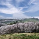 한우목장 이미지