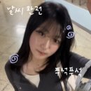 칙다이브 이미지