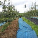 수관농장 이미지