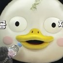 어게인무릎팍