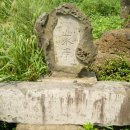 퐁낭거리 이미지