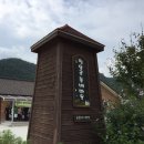 팔봉청삼골돌배마을 | 20180809홍천여행 돌배마을에서 인삼피자 오미자에이드만들어봤어여