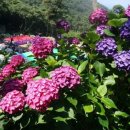 문화로101번길 이미지