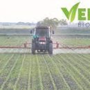 삼양만나 이미지