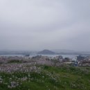 칼국수사랑