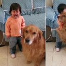 주인 이미지