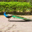 한림어린이공원 이미지