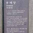 송애당 이미지