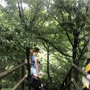 렛촌치킨 이미지