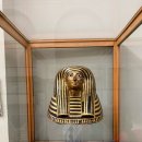 [2025 이집트 여행] 이집트 국립 박물관, 투탕카멘, 나일강 크루즈, 마아디 (Maadi) 숙소