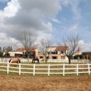 베르아델승마클럽 이미지