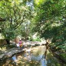 월악고을 이미지