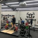 트레인트루(Traintrue) 이미지