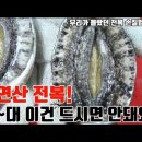 홍일전복 이미지