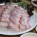 수원-1503 | 수원 망포역 대방어 맛집 곰수산 재방문 후기