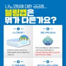 블링캡 이미지