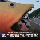 11545-07-23-04 | 단양 아이랑 가볼만한곳 7곳, 초등딸과 1박2일 코스