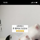 대농참숯생고기