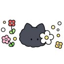 머리자랑 - 여주시 | 머리자랑