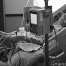 내츄럴치과의원 네이버블로그