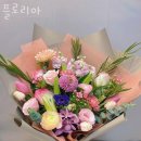 플로리아 이미지