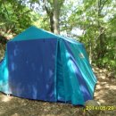 숲속의 하루 이미지