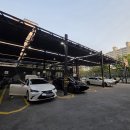 정원세차장 | 해운대 카페 노부스테라 커피하우스 수영강 뷰 루프탑까지 다녀온 후기