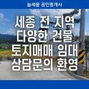 늘세움공인중개사사무소 이미지