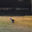 토함산 락 펜션 이미지