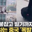 중국경제 끝났습니다 이미지