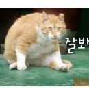 그루밍 - 전주시 덕진구 가재미로 26 | 그루밍
