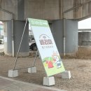옥정농장 | [베리미팜] 양주 딸기농장, 딸기 수확부터 디저트 만들기까지