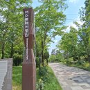 서울지하철 2호선 홍대입구역~시청역 구간 노선길 산책(25.6.15.일요일) 이미지