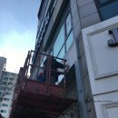 멍멍샤워 이미지