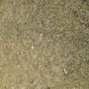 일레븐CC | 그린피 6만원!! 충주 일레븐cc 11월 라운딩 후기