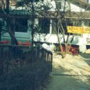 살구나무집칼국수