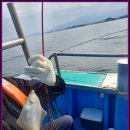 장인호 | 고성배낚시 장인호배낚시체험에서 낚시 체험한 후기!