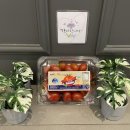 서울유앤치과의원 이미지