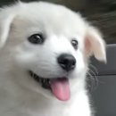 기분