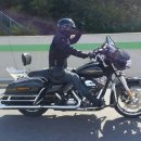 할리데이 이미지