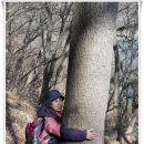 충주호 종댕이 이미지