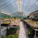 인수다육 이미지