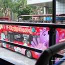 옐로우히포(YELLOW HIPPO) | [싱가포르여행]히포버스투어 -2층버스 Hippo bus