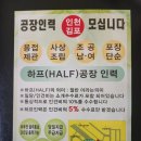 하프인력 이미지