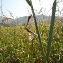 사랑은 아름다워라 이미지