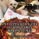 2002 | 남양주맛집! 2002마녀의 아르페지오 애견 동반 후기 토마토장 삼겹살 감자전