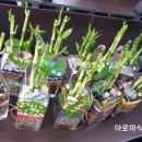 여주시 노인복지회관 이미지